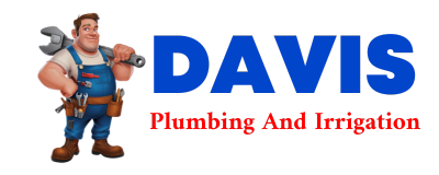 Trusted plumber in NESS CITY